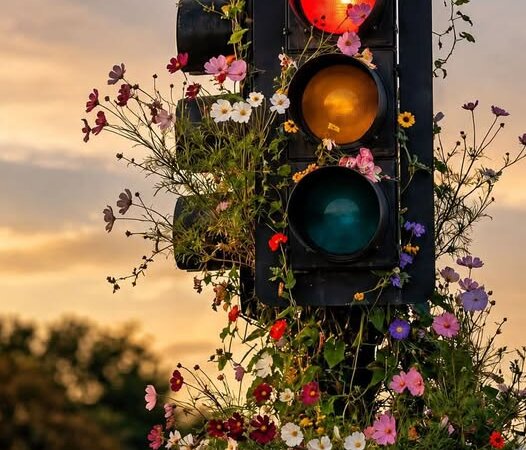 Co oznacza Mindfulness  ? Czy ćwiczenie uważności pomaga w stresie?
